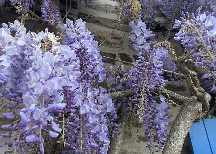La Glycine, Maison Normande Proche De La Et Des Lieux Touristiques Holiday home *
